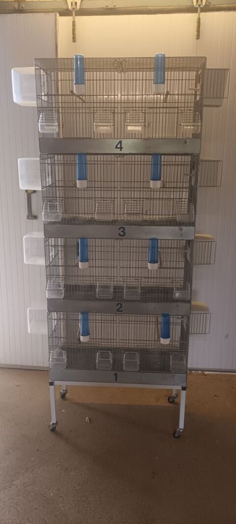 cages oiseaux 230 53200 Château-gontier