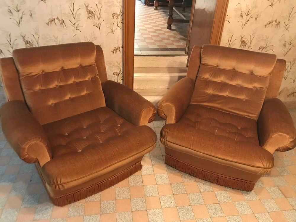 2 Fauteuils de salon Meubles
