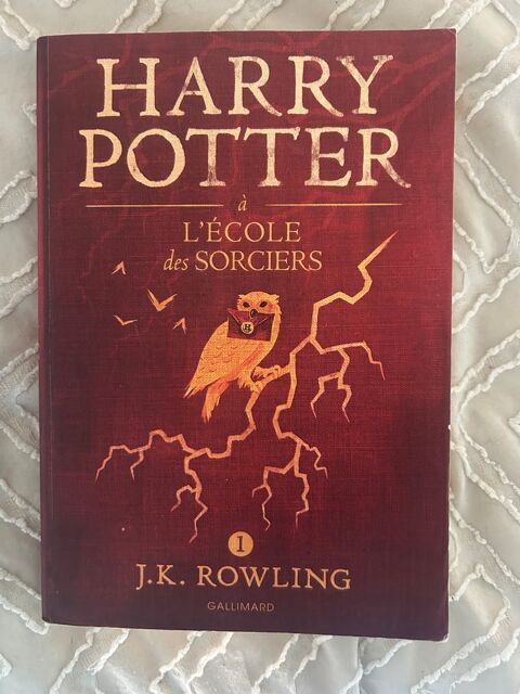 Harry Potter Tome 1 Nimes (30)