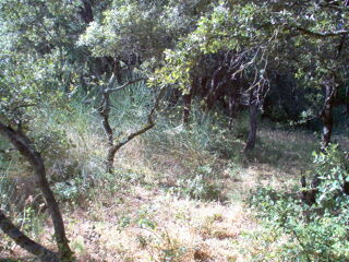  Terrain  vendre 1300 m