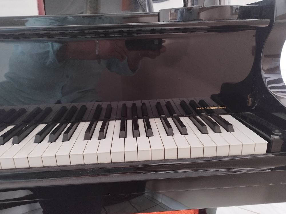 Piano euterpe Laque noir
Instruments de musique
