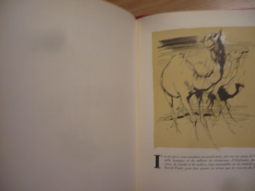 LE LIVRE DE LA JUNGLE de Rudyard KIPLING (1958) Livres et BD