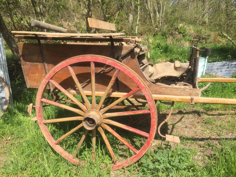 Cal&egrave;che Bricolage