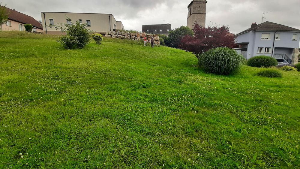 Vente Terrain Beau terrain constructible non viabilisé de 10.41ares Delle Faverois