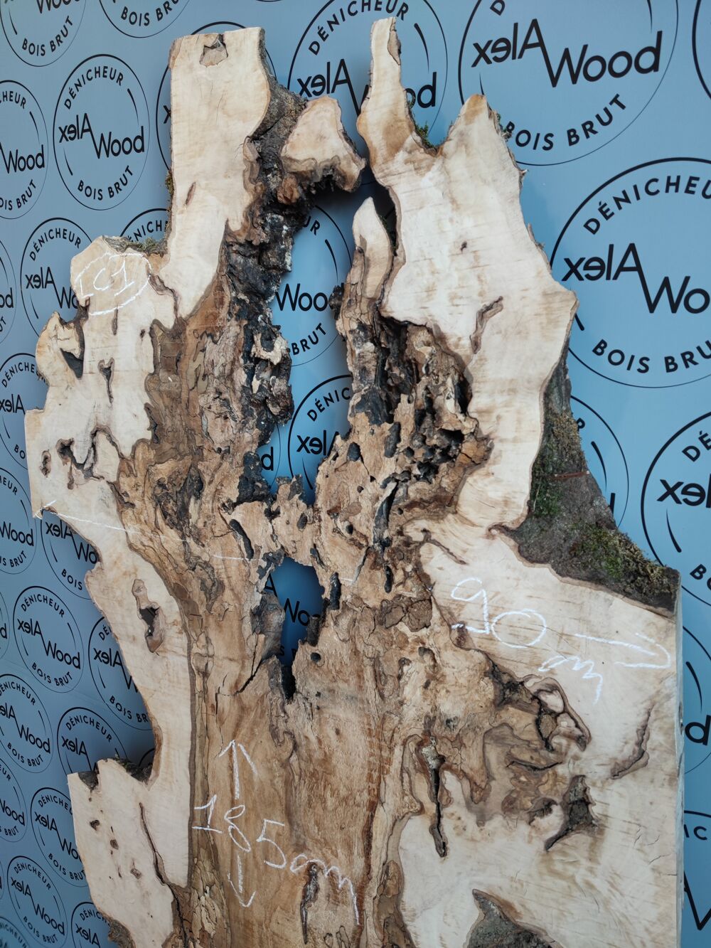 Plateau planche de loupe de charme bois brut Bricolage