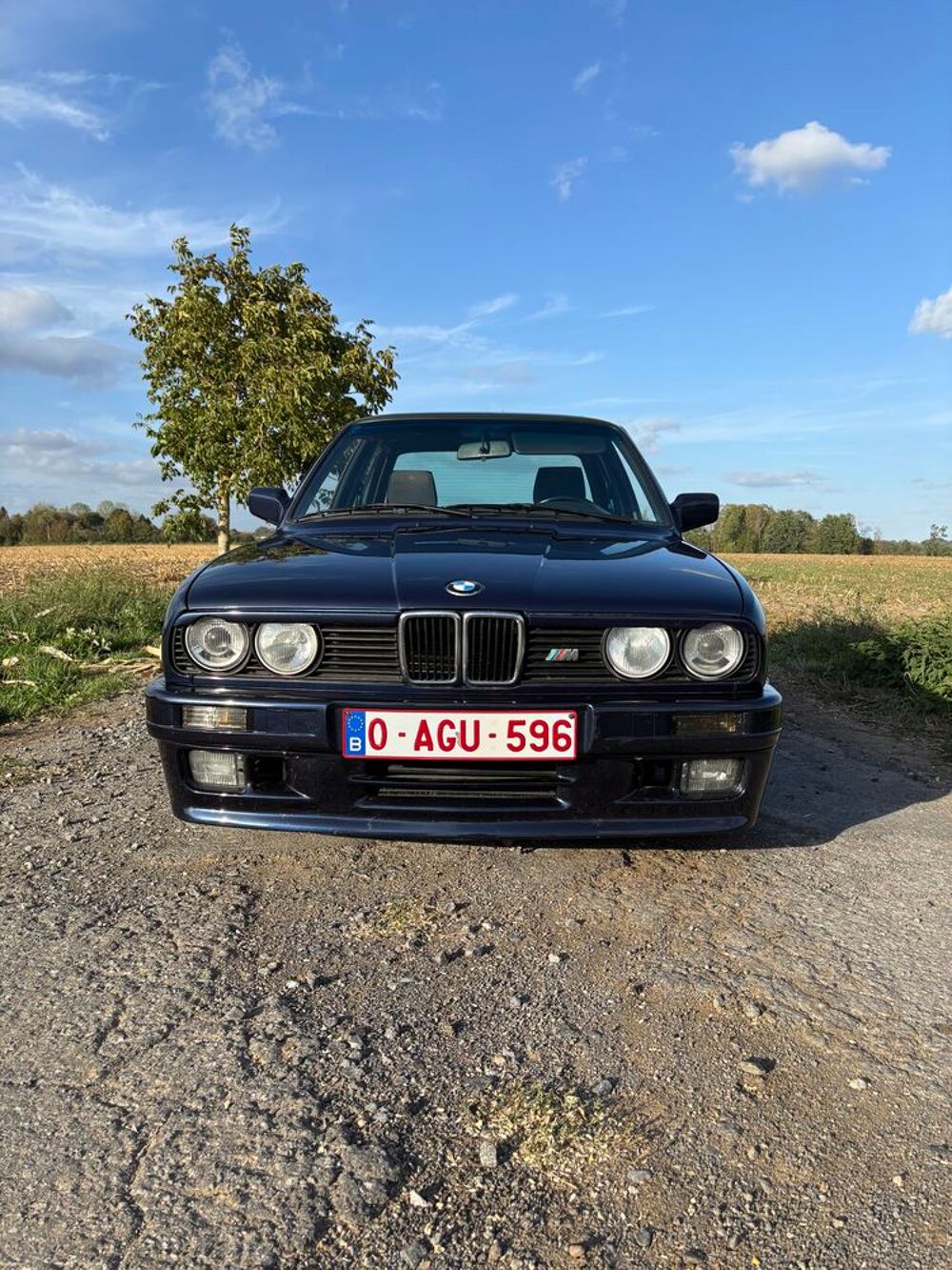 S&eacute;rie 3 325i 1990 occasion Thuin