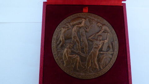 Médaille FNECM en bronze crée par Paul Landowski 12 Quinssaines (03)