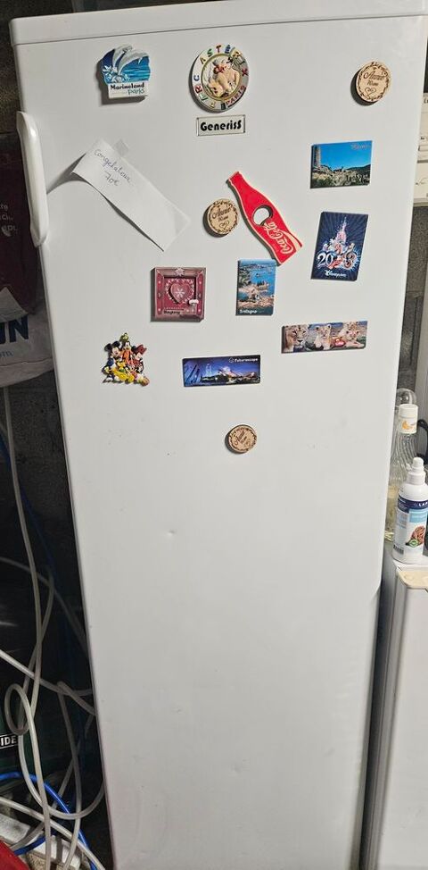 Cong�lateur  70 Sigean (11)