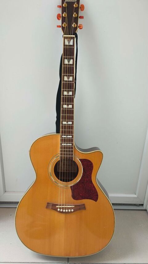 de guitare electro acoustique 70 Andernos-les-Bains (33)