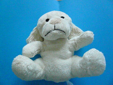 Chien assis en peluche 6 Franqueville-Saint-Pierre (76)