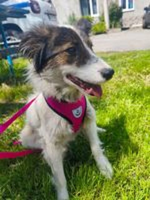   MARILYN SE TROUVE DANS UN REFUGE EN UKRAINE (RESERVEE) 