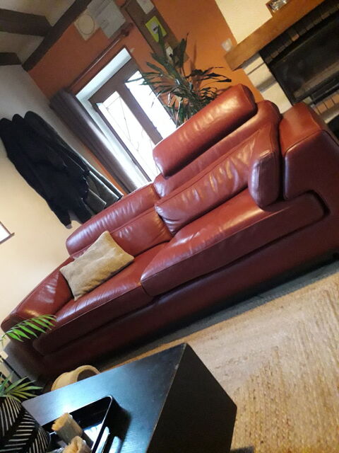 Canaps Roche bobois 0 Meung-sur-Loire (45)