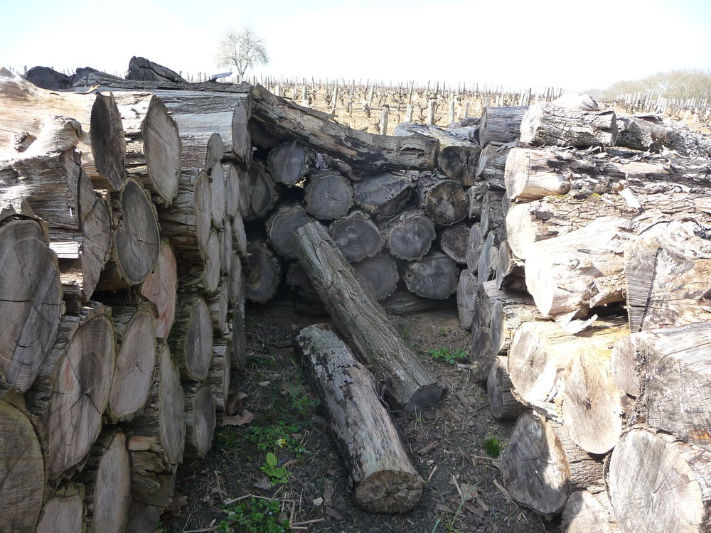 Bois de Chauffage Jardin