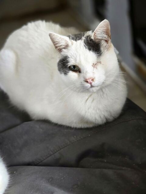 TEUTA 210 76220 Ferrires-en-bray