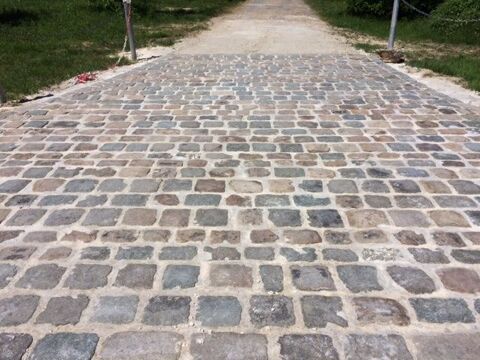 Paves anciens granit et multicolores 45 Versailles (78)