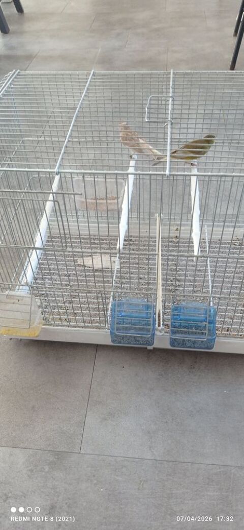 Canaris 60 33240 Saint-andr�-de-cubzac