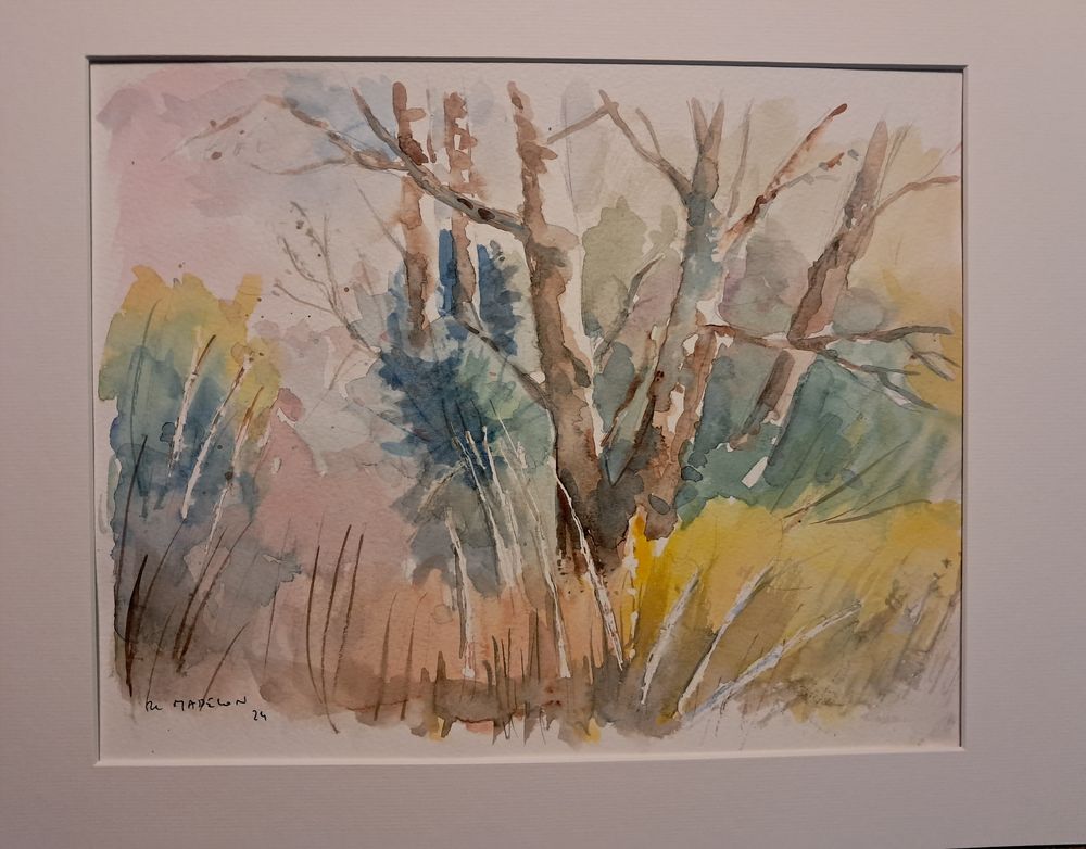 Aquarelles 
