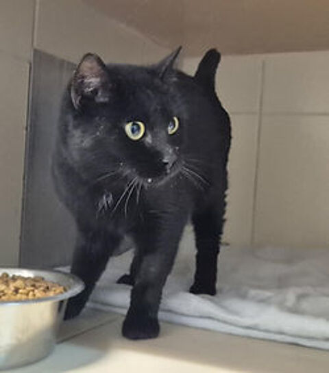 Alyndra 200 26700 Pierrelatte