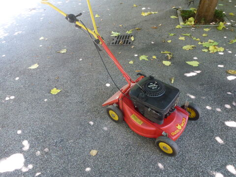 Tondeuse wolf 30 Saint-Denis (11)