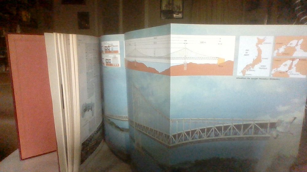 Dictionnaire Larousse Livres et BD