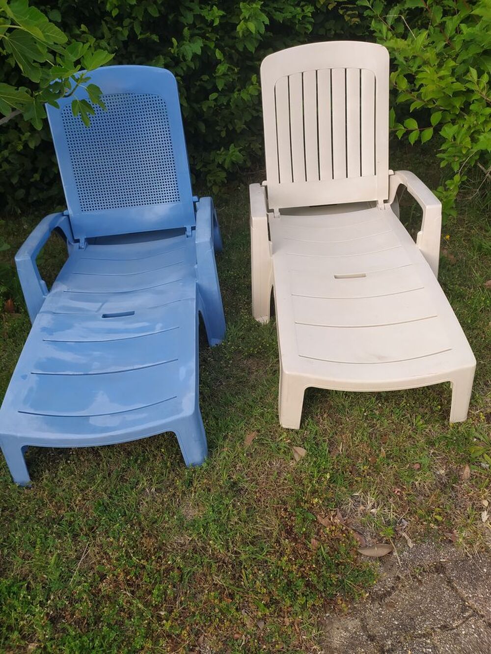 bains de soleil Jardin