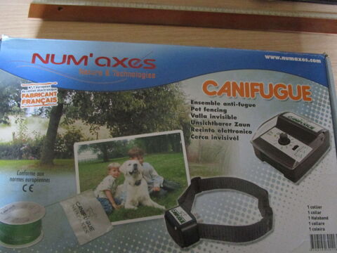  collier d'ob&eacute;issance et anti fugue NUM"AXES 20 77600 Chanteloup-en-brie