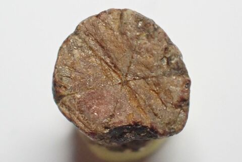 Cérasite  Fleur de Cerisier  Extrêmement rare Yunohana Hieda 31 La Petite-Raon (88)