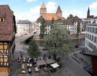 Location  Appartement 