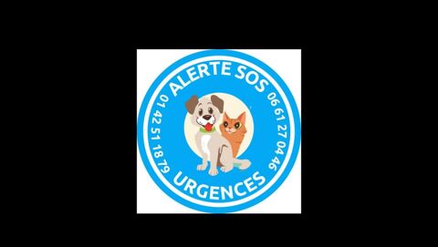 SOS REFUGE DE MIRA EN EGYPTE  EN GRAND DANGER  AIDEZ MIRA 0 75018 Paris