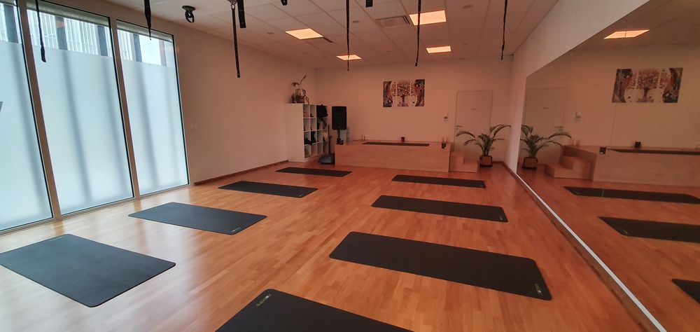   Espace de 346 m2 proche centre-ville de Pau - Bizanos Bizanos