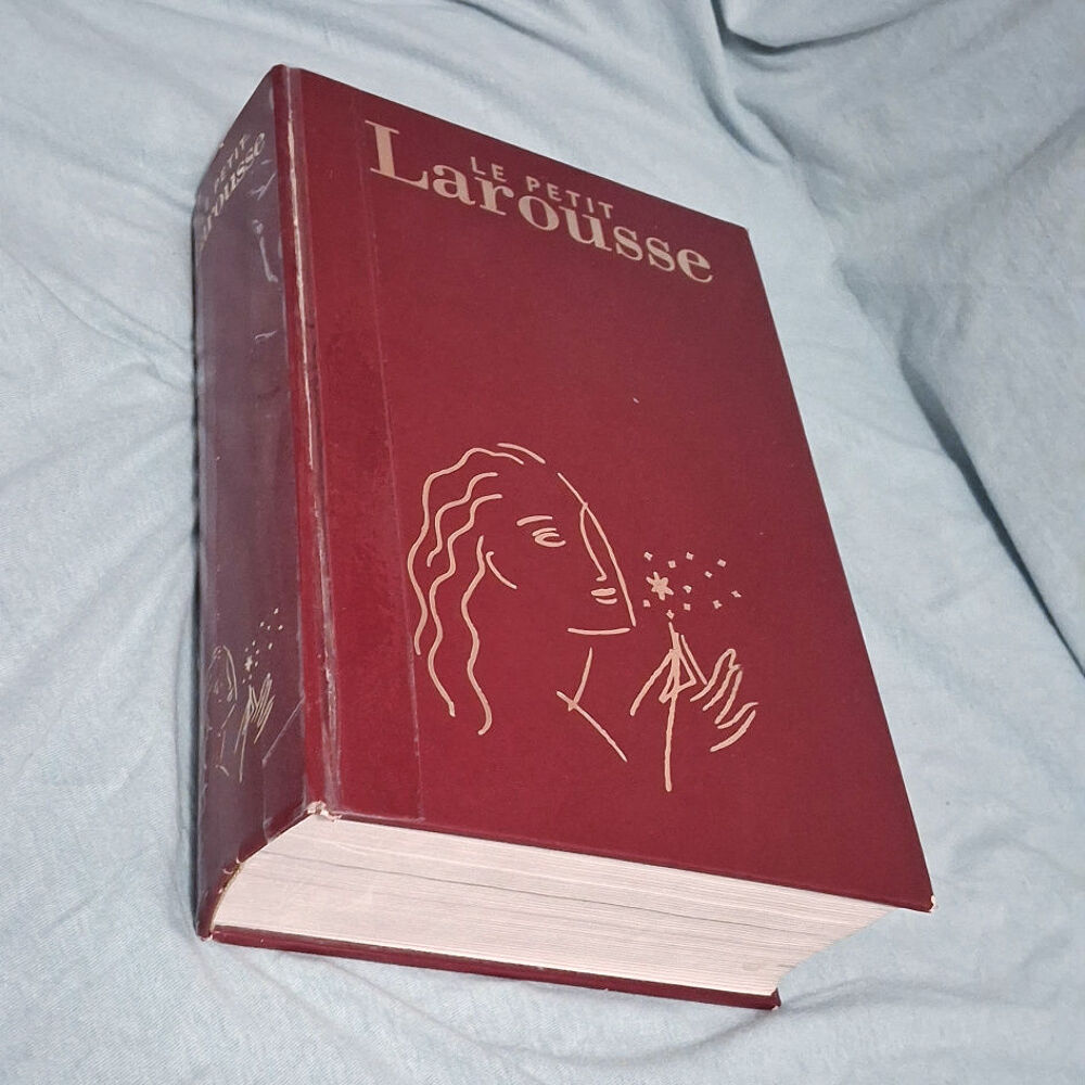 Gros dico Larousse 1850pages, 4kg Livres et BD