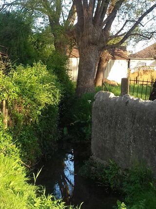  Terrain � vendre 35999 m�