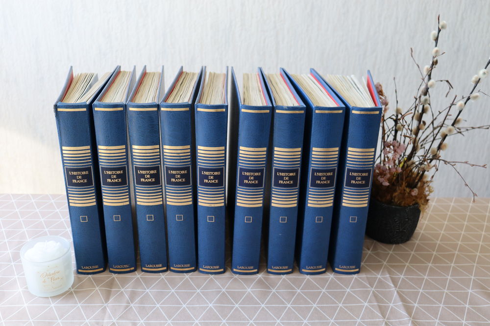 L'Histoire de France en une superbe collection + cadeau Livres et BD