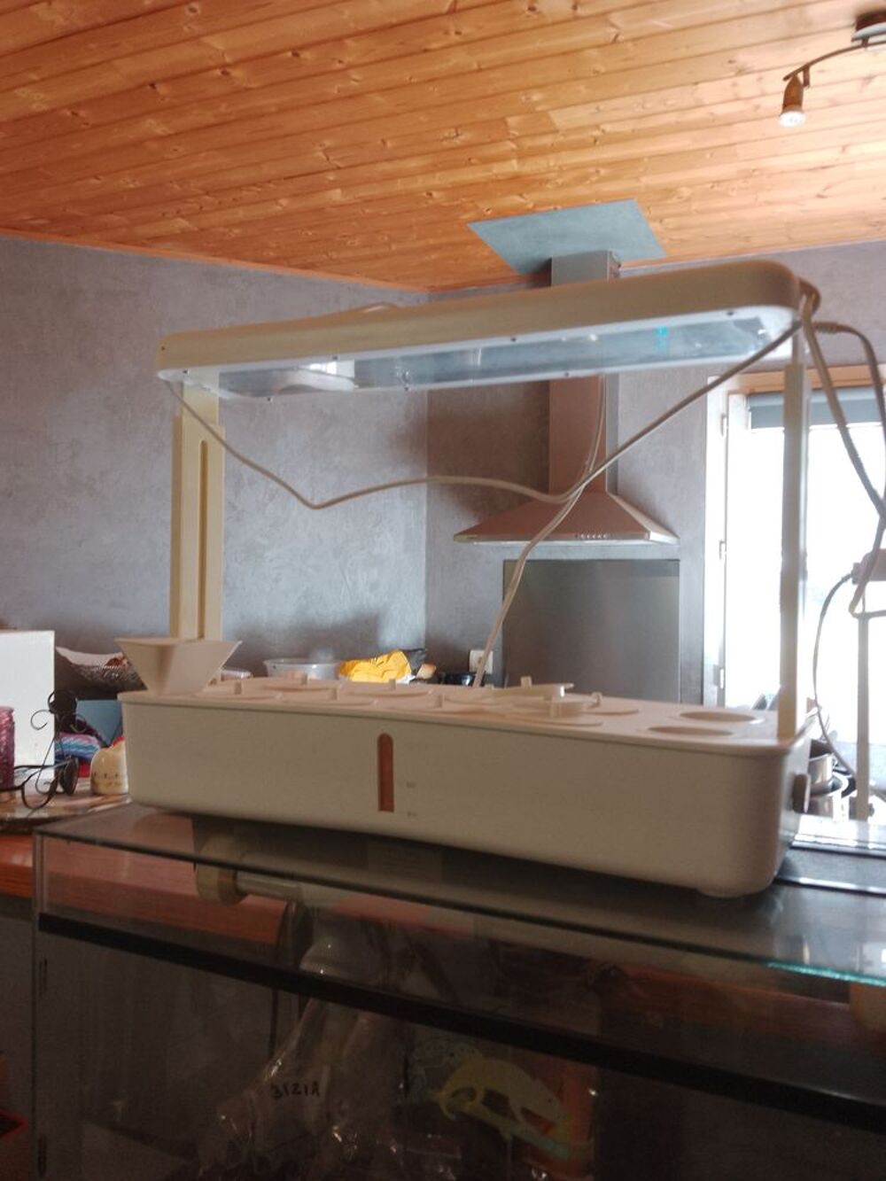 potager d'interieur Jardin
