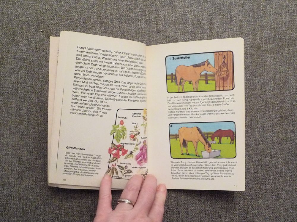 Kleines Pferdebuch f&uuml;r Kinder-Christopher Rawson-Ravensburge Livres et BD
