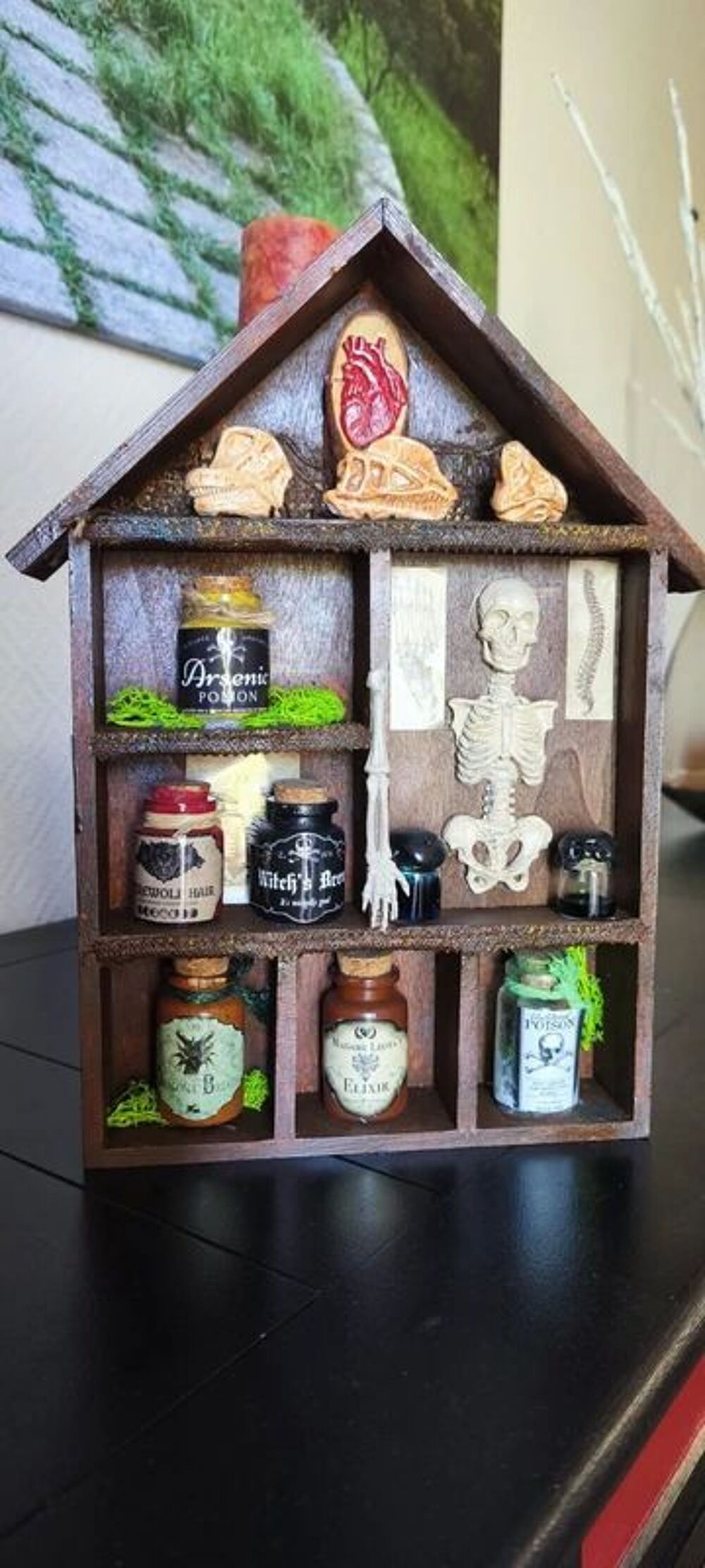 Petit cabinet de curiosit&eacute;s Décoration