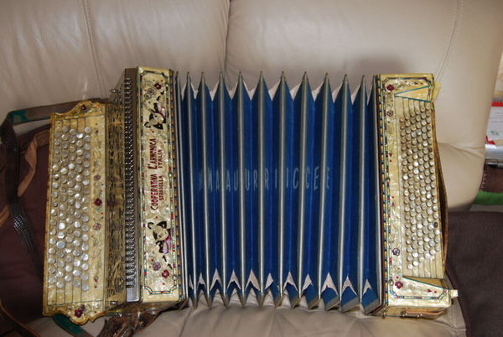 accordeon Instruments de musique