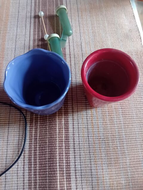 PETITS POTS POUR ORCHIDEE 1 Chaumont (52)