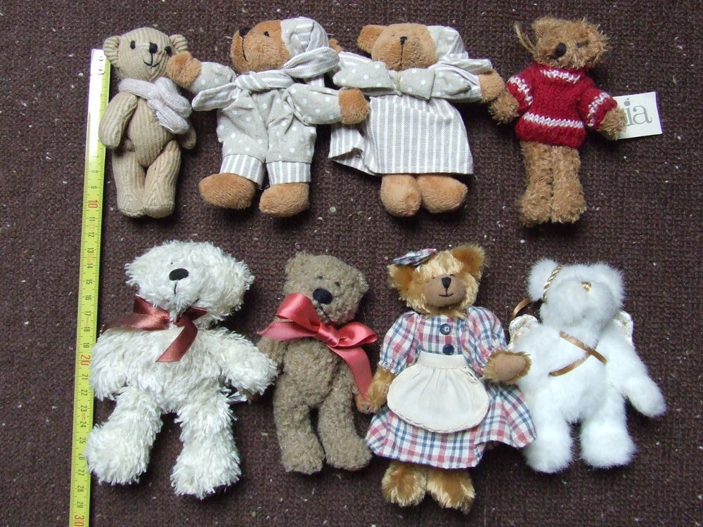 Collection d ours en peluche Décoration