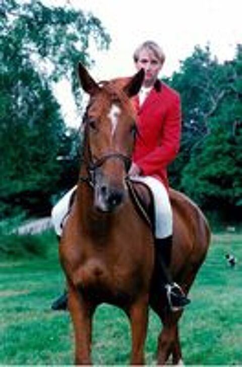   Trs belle jument TF, 4 ans, 