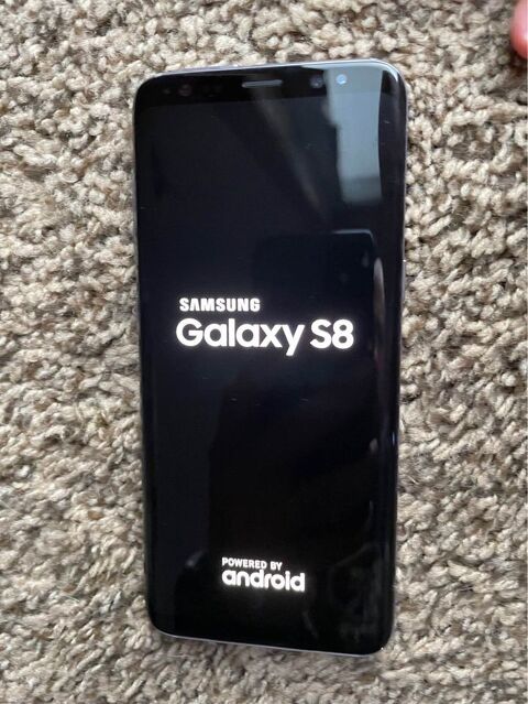 Samsung galaxy S8 d'origine haute performance avec garantie 110 Paris 11 (75)