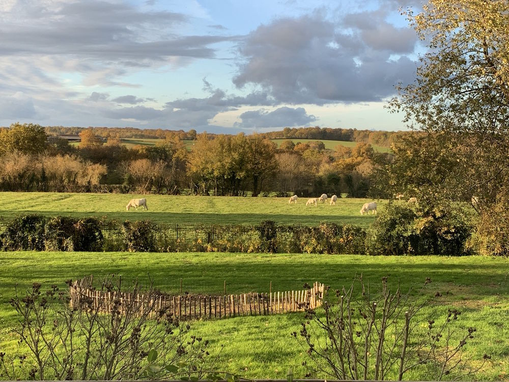 Vente Maison Maison de campagne avec vue imprenable Cronat