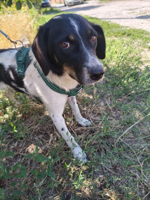 FANNIE 0 75018 Paris