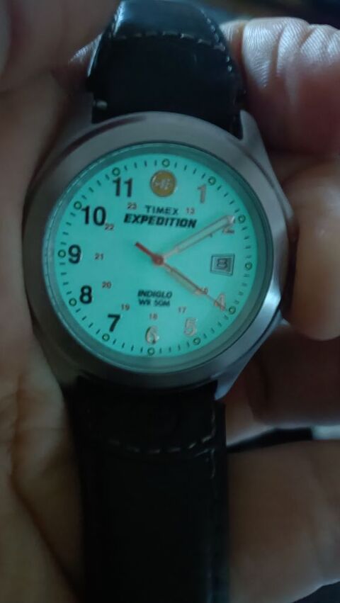 Montre Timex 30 Cuxac-d'Aude (11)