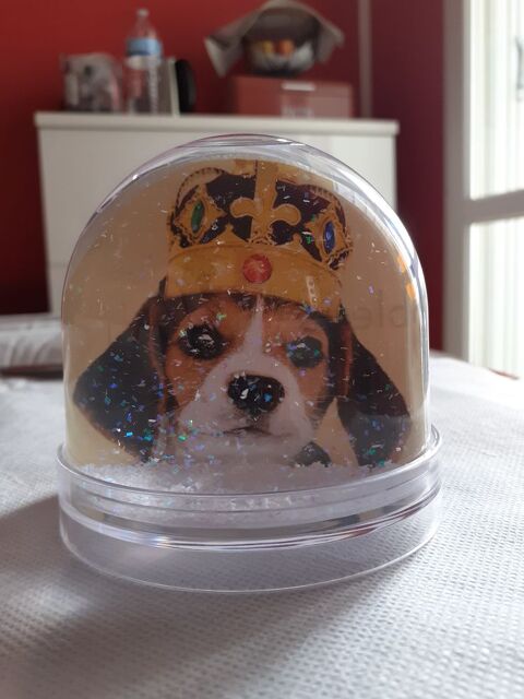 Boule � neige personnalisable 8 Roanne (42)