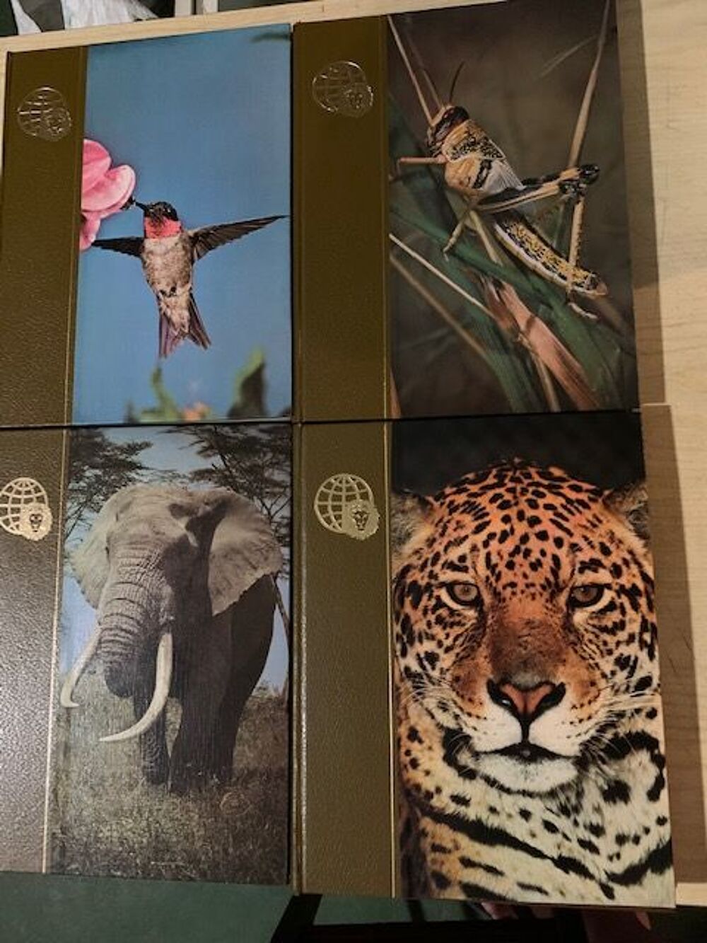 Livre d'animaux Livres et BD