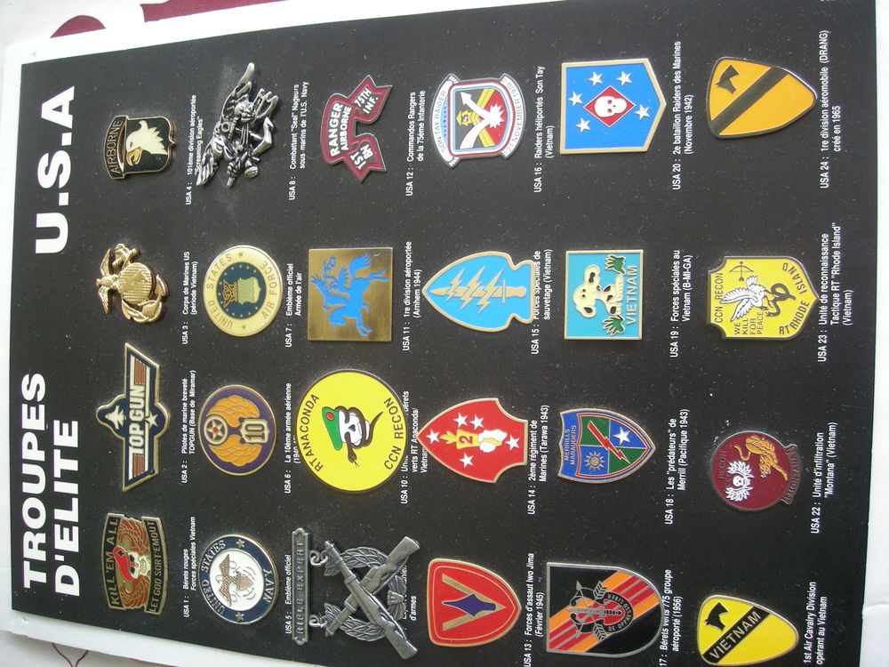 insignes militaires. 