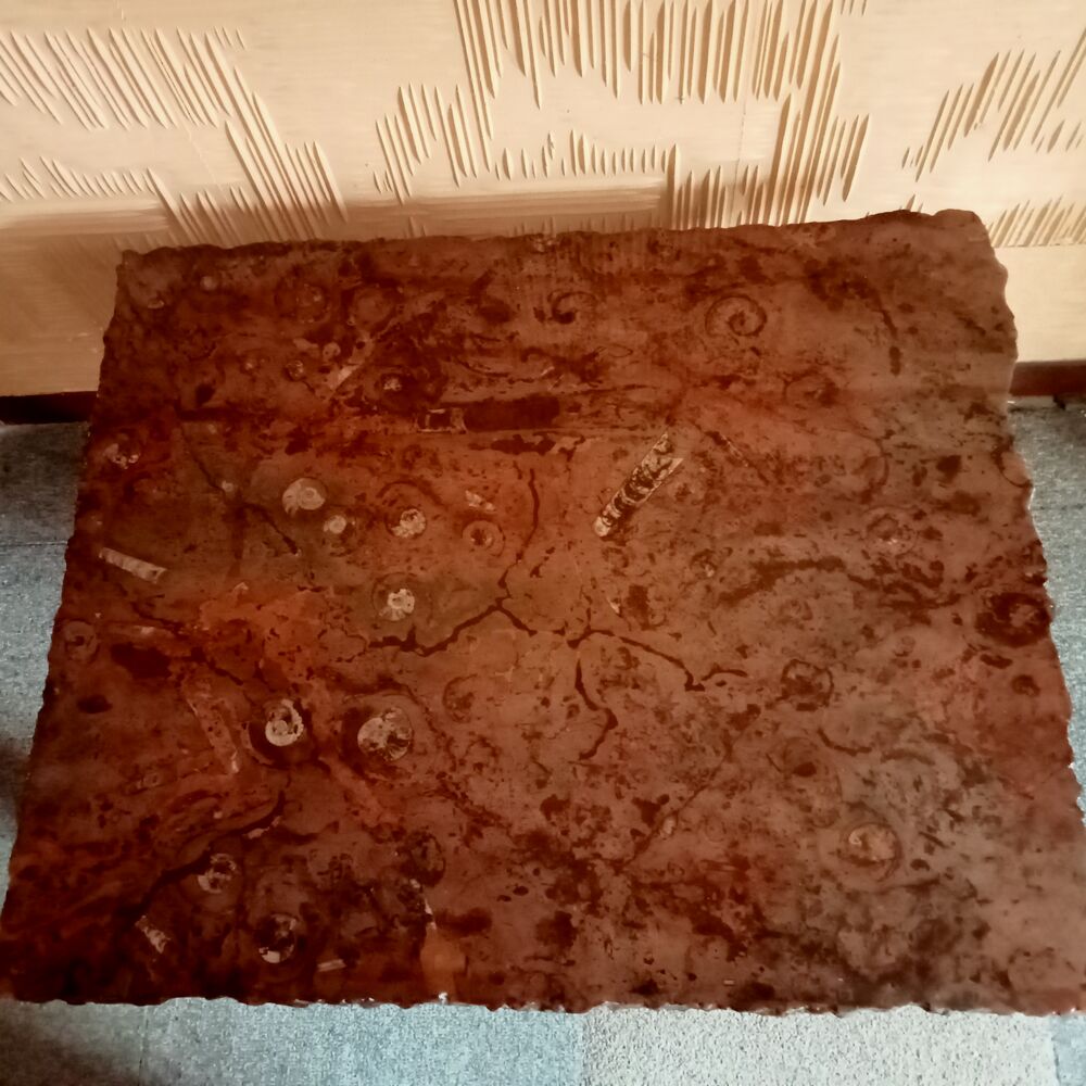 table basse en marbre fossilis&eacute; d'Erfoud Meubles