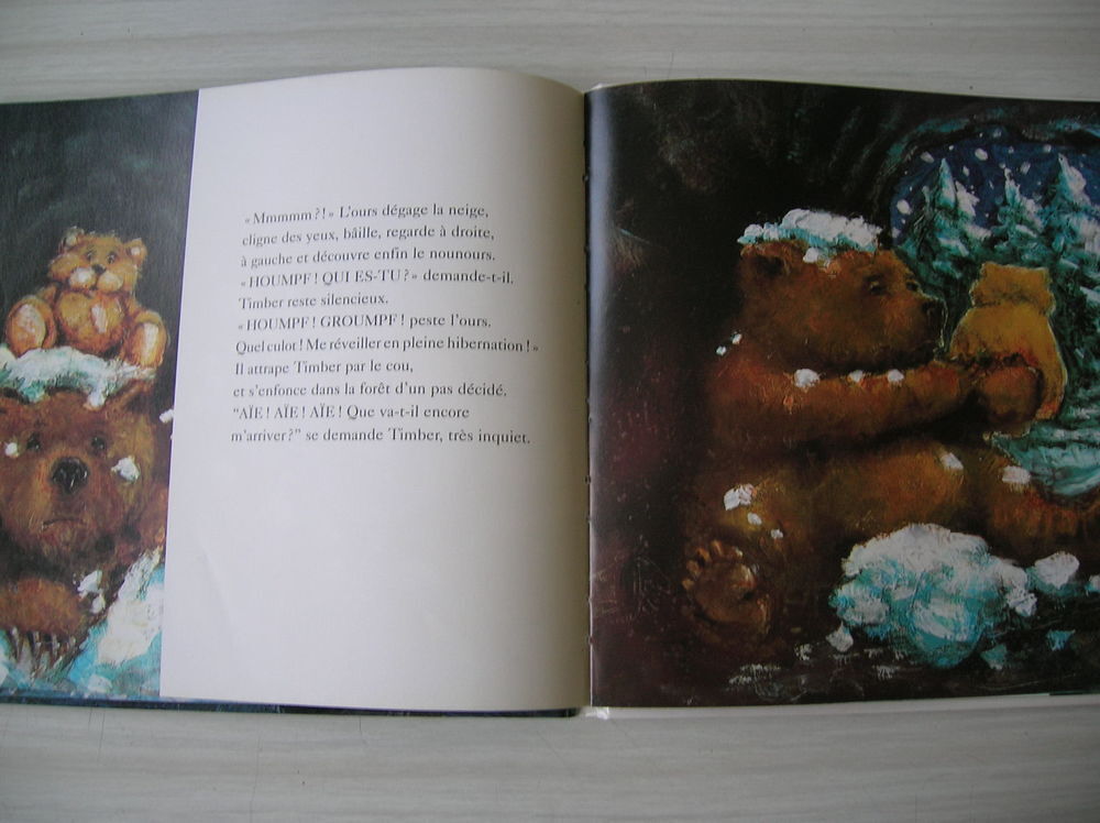 Timber Alain Brion Livres et BD