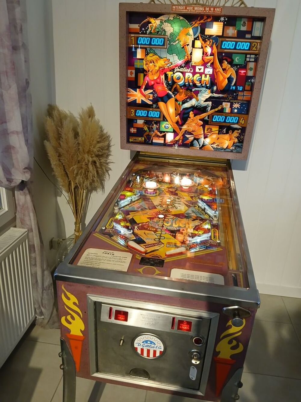 Flipper en panne Photos/Video/TV